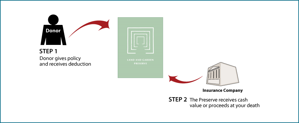 Life Insurance Policy Diagram. Description of image is listed below.