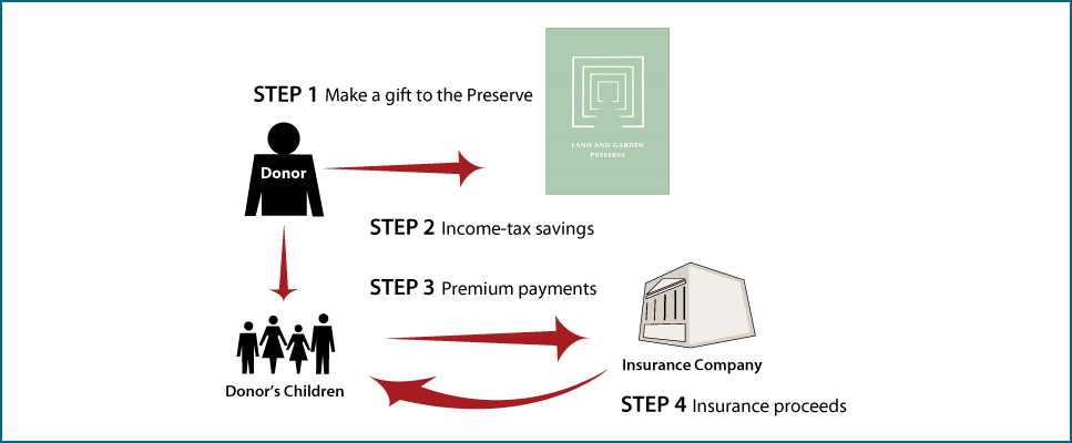 Life Insurance to Replace Gift Thumbnail